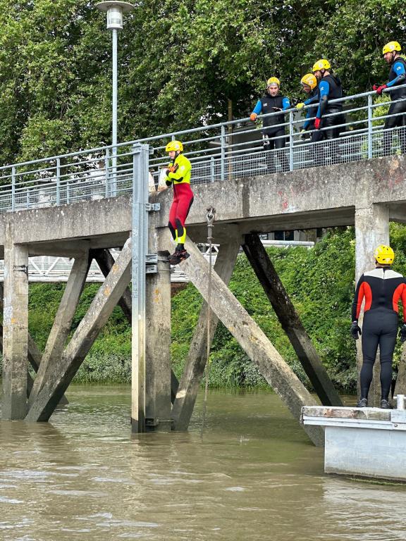 Saut