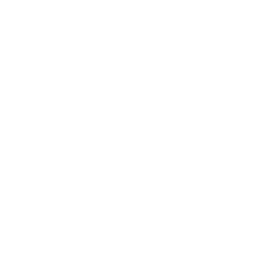 flèche
