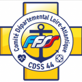 CDSS44